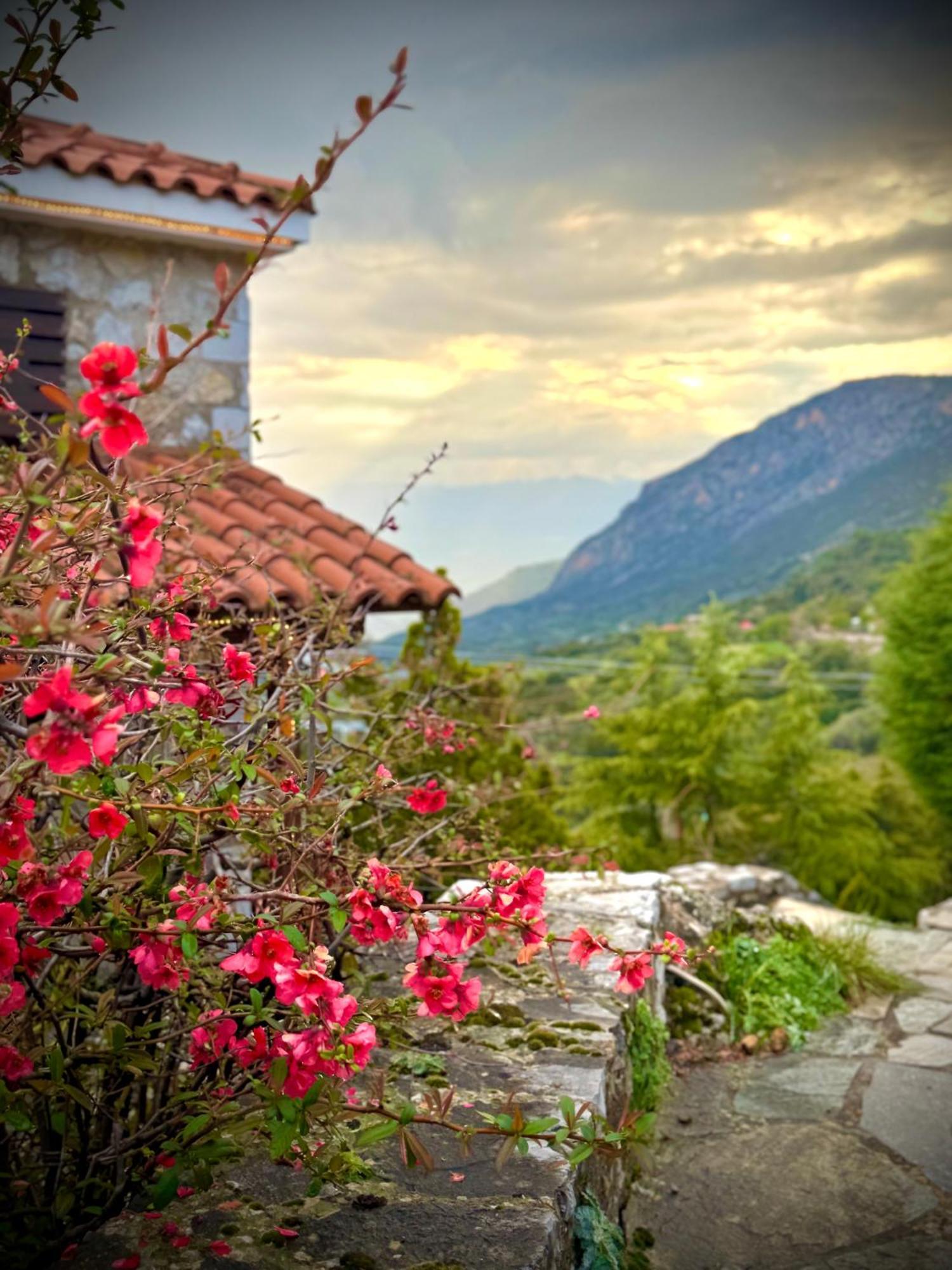 Rock Dandy Deluxe Chalet In Arachova - Delphi, Sauna, Prv Parking, Amazing View Exteriör bild
